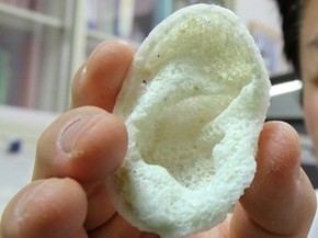 Expectativa é que testes com pele feita com impressora 3D seja testada em três anos; detalhe mostra orelha feita com técnica 3D (Foto: AFP Photo/Yoshikazu Tsuno)