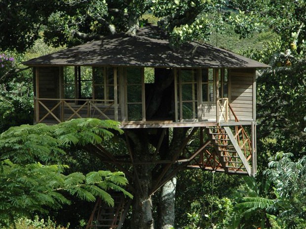 Casa da Árvore, no Vale do Capão, Bahia (Foto: Divulgação/Lendas do Capão)