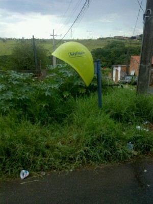 Moradora reclama de matagal ao redor de orelhão em Itapetininga (Foto: Patricia Oliveira/ TEM Você)
