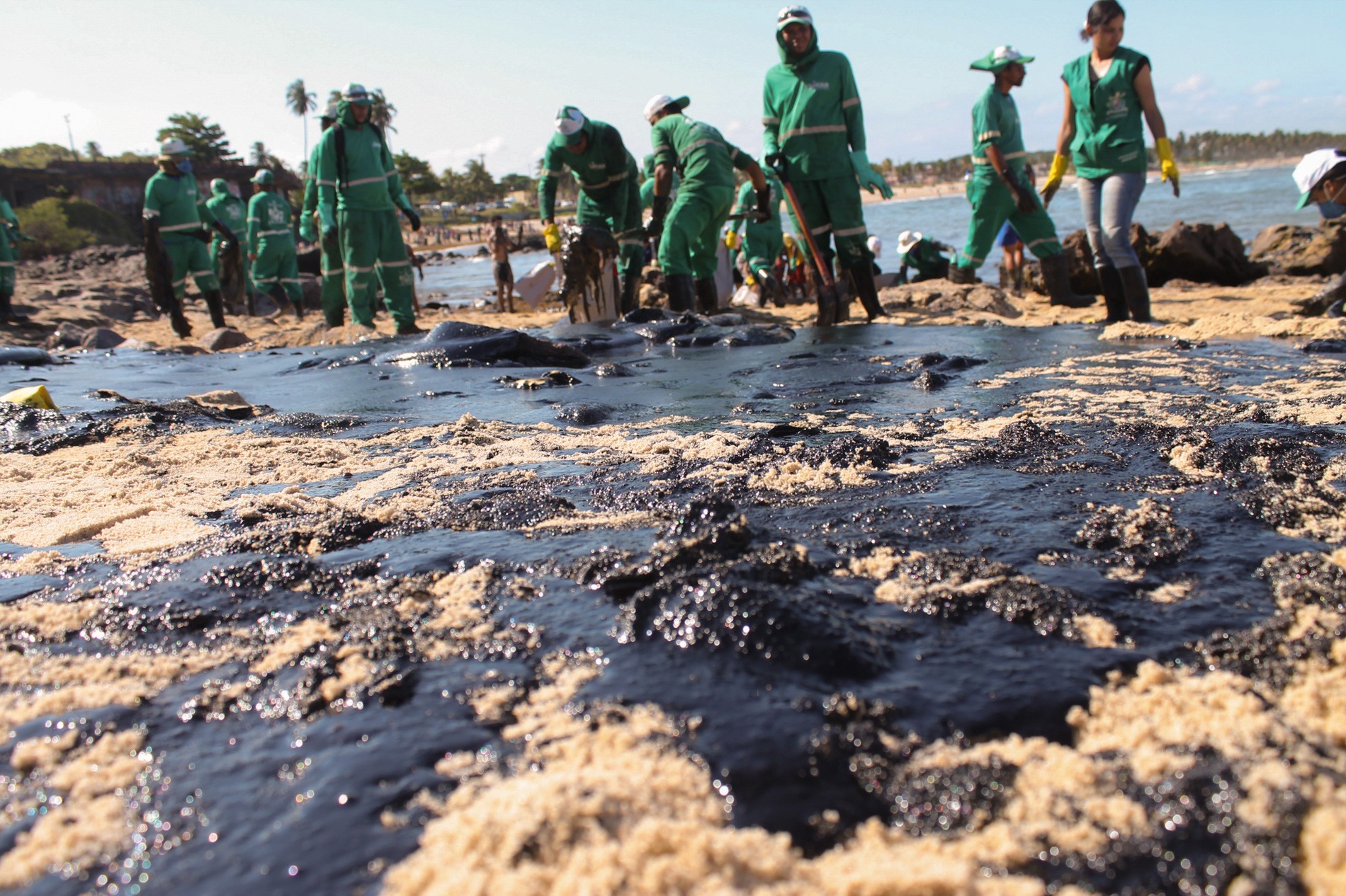 Como o óleo em praias do Nordeste pode afetar a saúde O Guia Offshore