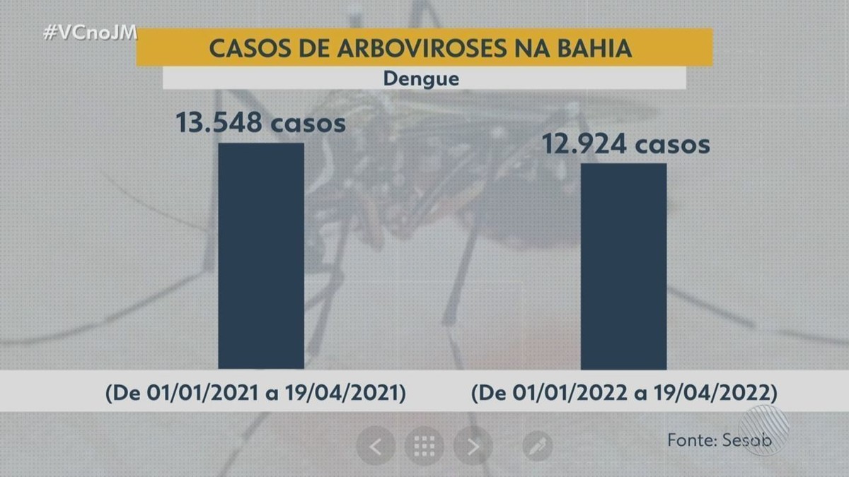 Casos De Dengue Caem Em 4 6 Na Bahia Zika E Chikungunya Crescem