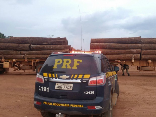 PRF acha 4 áreas de desmatamento durante operação em Mato Grosso (Foto: Assessoria/PRF-MT)