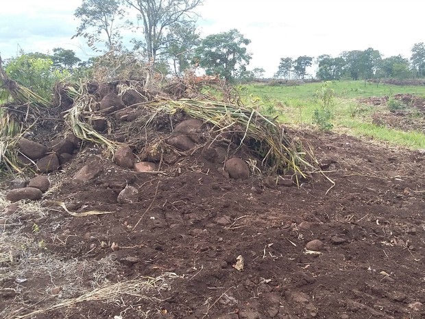 Fazendeiro precisa apresentar um Prade junto ao órgão ambiental (Foto: PMA/Divulgação)