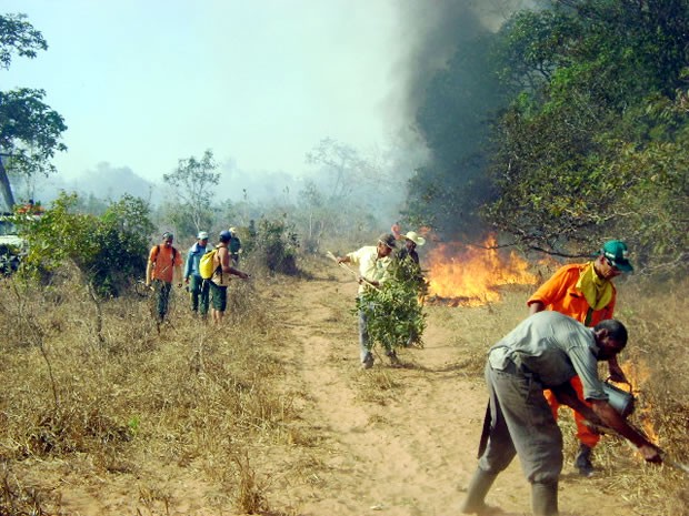Em 2012, grupo combateu 312 focos de incêndio na região (Foto: Arquivo Pessoal)