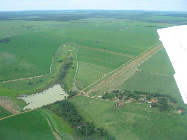 Imagem de sobrevoo realizado por comissão do Mapa em plantações deixadas na reserva indígena (Foto: Wanderlei Dias Guerra / Mapa)