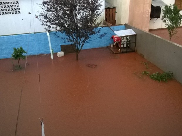 Quintal ficou alagado em Palma Sola (Foto: Corpo de Bombeiros/Divulgação)