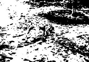 As Ilusoes De Otica Que A Ciencia Estuda Para Explicar Os Truques Da Mente Ciencia E Saude G1