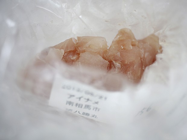 Carne de peixe picada é separada para exame de laboratório (Foto:  Issei Kato/Reuters)