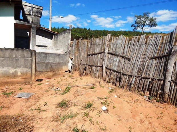 Cachorro é encontrado enforcado e pendurado em arame em Oliveira (Foto: Rádio Nossa FM/Divulgação) Cachorro é encontrado enforcado e pendurado em arame em Oliveira (Foto: Rádio Nossa FM/Divulgação)