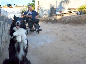 Cão Jack, de dois anos, ajuda dono nas tarefas do dia a dia (Foto: Camilla Motta/G1) Cão Jack, de dois anos, ajuda dono nas tarefas do dia a dia (Foto: Camilla Motta/G1)