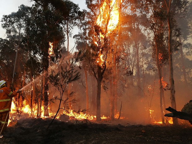 Incêndio na Austrália (Foto: Reuters) Incêndio na Austrália (Foto: Reuters)