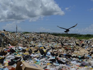 Resultado de imagem para LIXEIRA DE PUBLICA DE SANTANA - AP