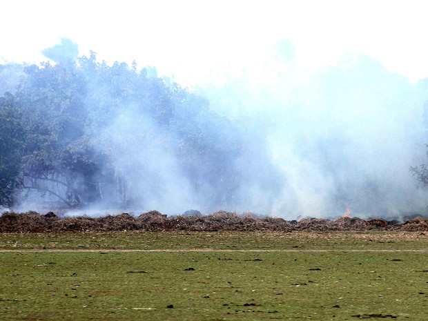 Foco de queimada em Santa Helena (MA), no norte do Estado (Foto: Biaman Prado/O Estado/Arquivo)