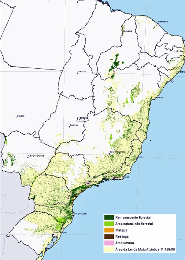 Pontos verdes no mapa mostram áreas de floresta da Mata Atlântica que ainda estão em pé no Brasil. Área em amarelo é o total do bioma. Atualmente, restam 8,5% da vegetação original (Foto: Divulgação/SOS Mata Atlântica/Inpe)