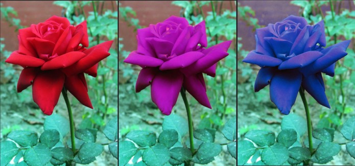 Confira o resultado da foto original (à esquerda) e as duas alterações de cor (Foto: Reprodução/Barbara Mannara)