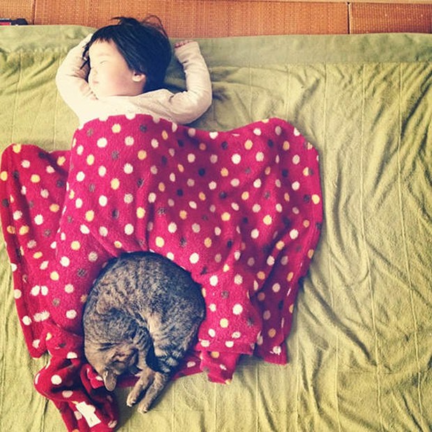 Menina japonesa e seu gato de estimação (Foto: Reprodução / Instagram @makicocomo)