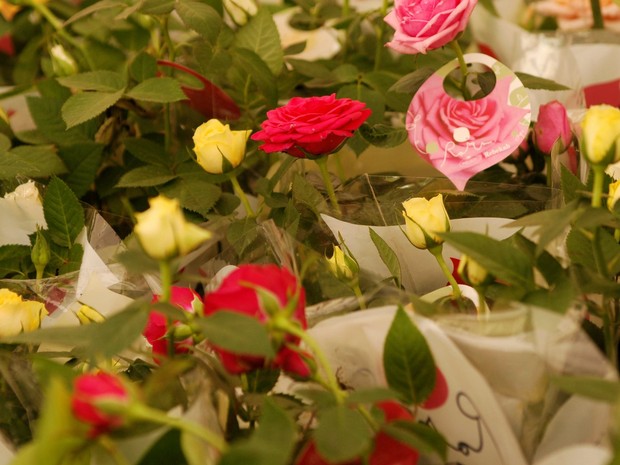 Festival de Flores de Holambra em Caruaru  (Foto: Divulgação/ Antonio Roque)