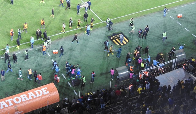 Seguranças do Verdão