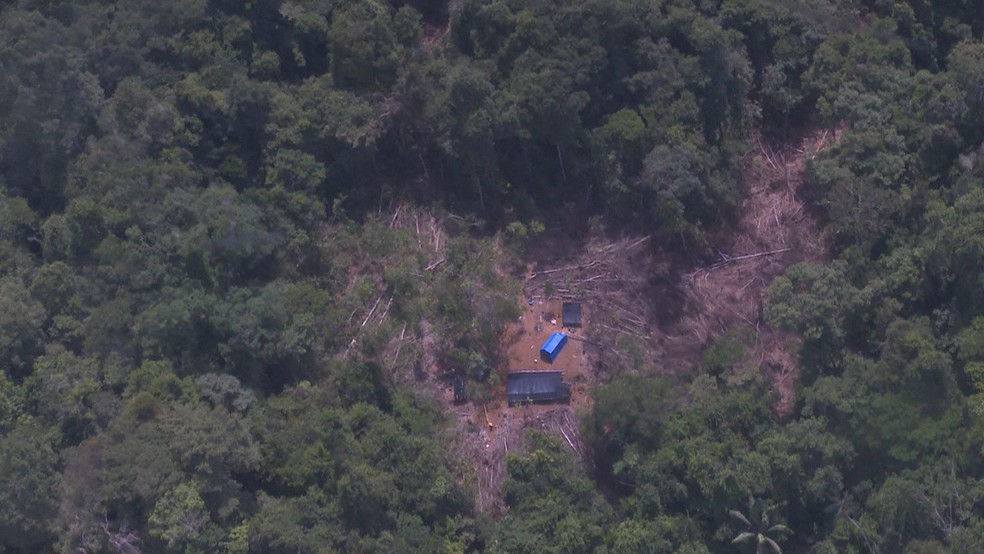 Garimpo ficava dividido em 'focos' no meio da mata (Foto: Exército/Divulgação)