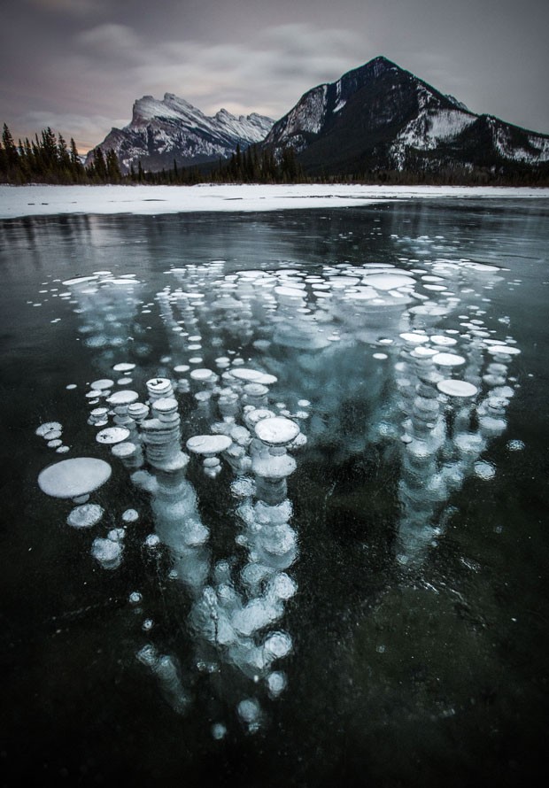 Bolhas de metano lanadas do permafrost ficaram congeladas quando tentavam alcanar a superfcie do Lago Vermillion, no Parque Nacional Banff, no Canad (Foto: Paul Zizka/Caters News)