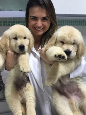 Veterinária Ana Laura com seus cães (Foto: Arquivo pessoal)