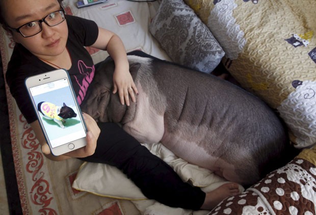 Ela cuida da porca, que tem três anos e meio, desde que o animal era filhote (Foto: Kim Kyung-hoon/Reuters)