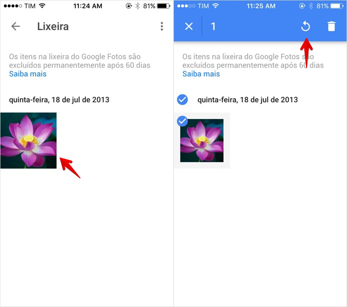 Recuperando imagens apagadas no Google Fotos (Foto: Reprodução/Helito Bijora) 