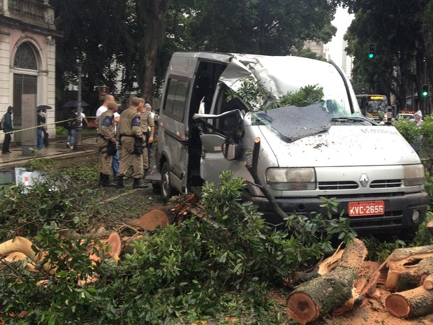 Uma árvore caiu em cima de uma van na Rua Marechal Floriano, no Centro da cidade, deixando uma pessoa ferida. (Foto: Renata Soares / G1 Rio)