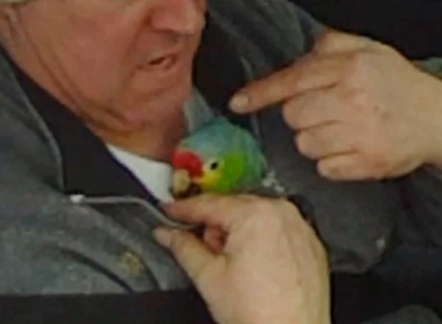 Aps fechar ciclista, homem justificou manobra perigosa por pressa para salvar papagaio doente (Foto: Reproduo/YouTube/ActuaL)