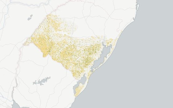 Área com paisagem natural dos pampas (vegetação rasteira ou pastos) marcada em tons de amarelo no mapa (Foto: MapBiomas)