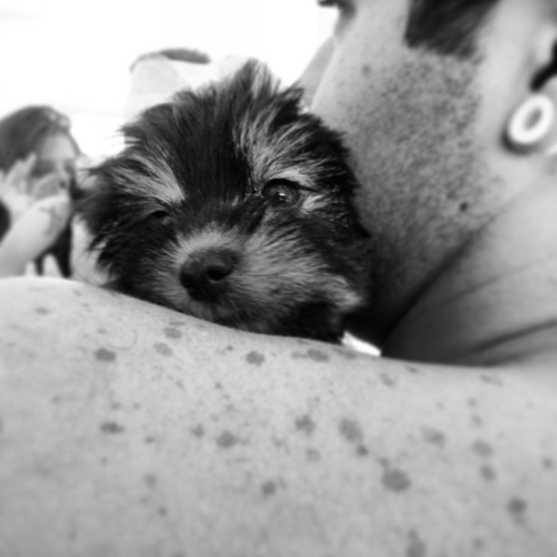 Nasser posacom o cãozinho Eros (Foto: Reprodução/Instagram)