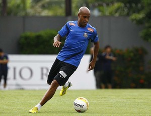 Marcos Assunção (Foto: Ricardo Saibun/Divulgação Santos FC)