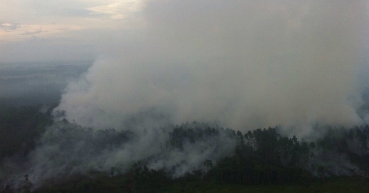 Bombeiros combatem incêndio em mata em Araranguá desde ... - Globo.com
