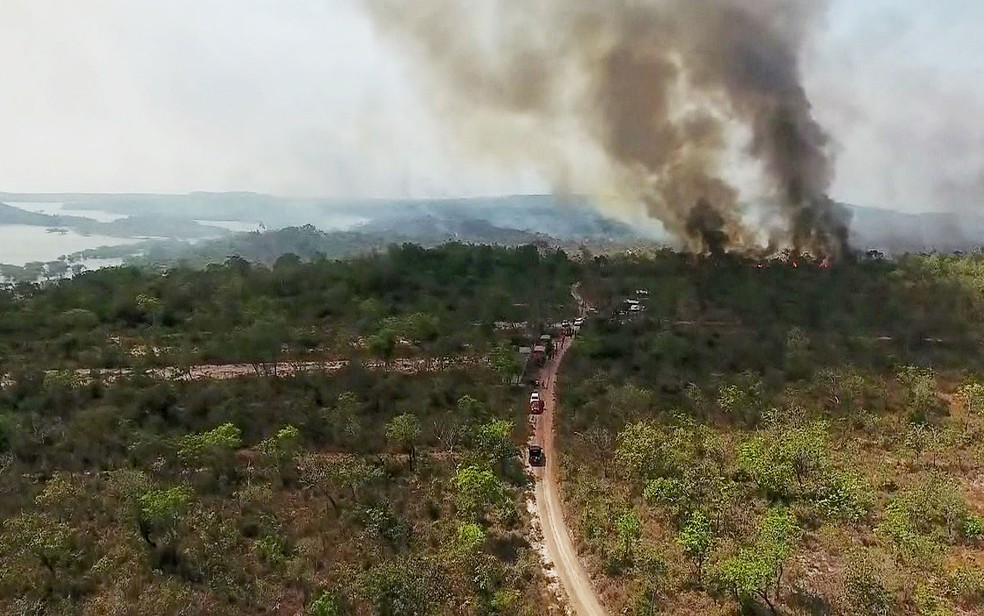 Mata de Alter do Chão, no Pará, atingida por fogo entre este sábado e esta segunda-feira (16) — Foto: Reprodução/GloboNews