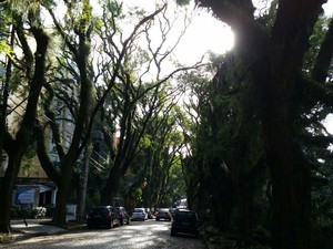 Cenário da Rua Gonçalo de Carvalho foi alterado em Porto Alegre (Foto: Reprodução/RBS TV)