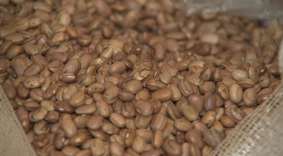 Segundo pesquisa feijão carioquinha queda de -18,55% (Foto: Reprodução/TV TEM)