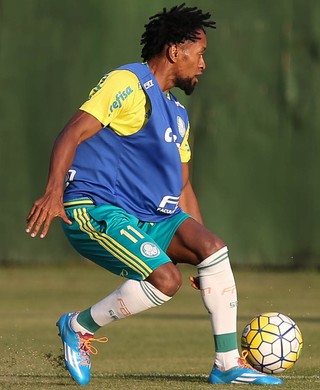 Aos 42 anos Zé Roberto celebra carreira e pensa em adiar aposentadoria