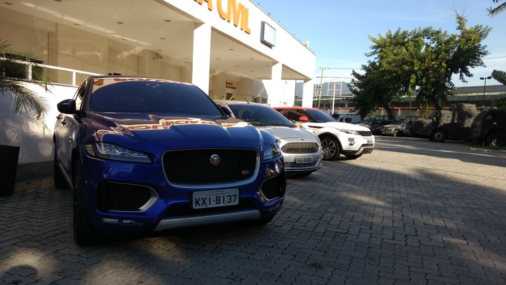 Jaguar foi apreendido durante operação da Polícia Civil (Foto: Nicolás Satriano/G1)