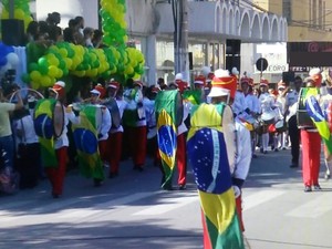 Desfile contou com a participação de várias pessoas (Foto: Reprodução/Inter TV dos Vales)