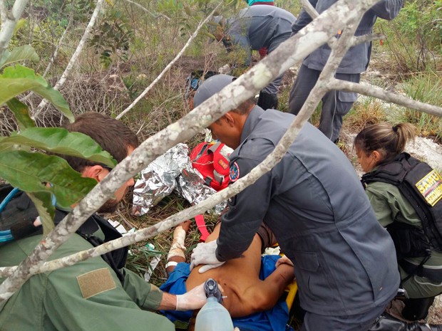 G1 Homem morre após ser atacado por tamanduá em MG Artesanato Lucrativo ~ G1 Homem morre após ser atacado por tamanduá em MG