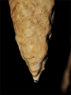 Uma das estalagmites analisadas pelos pesquisadores em Belize (Foto: Divulgação/Douglas Kennett/"Science")