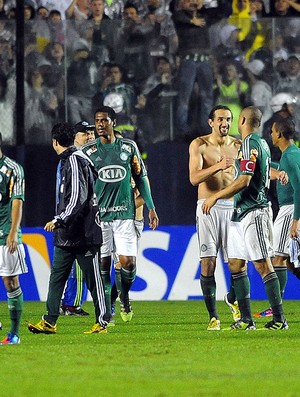 Palmeiras x Grêmio, Time do Palmeiras comemorando (Foto: Marcos Ribolli  / Globoesporte.com)