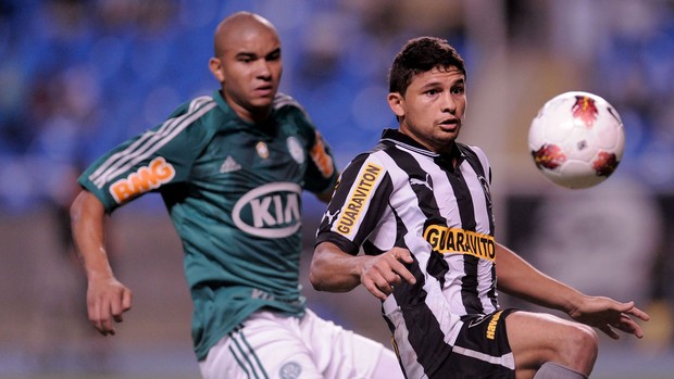 Elkeson Botafogo x Palmeiras (Foto: AGIF)