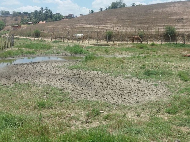 Reservatórios estão secando no município de Cedro de São João (Foto: Anderson Barbosa)