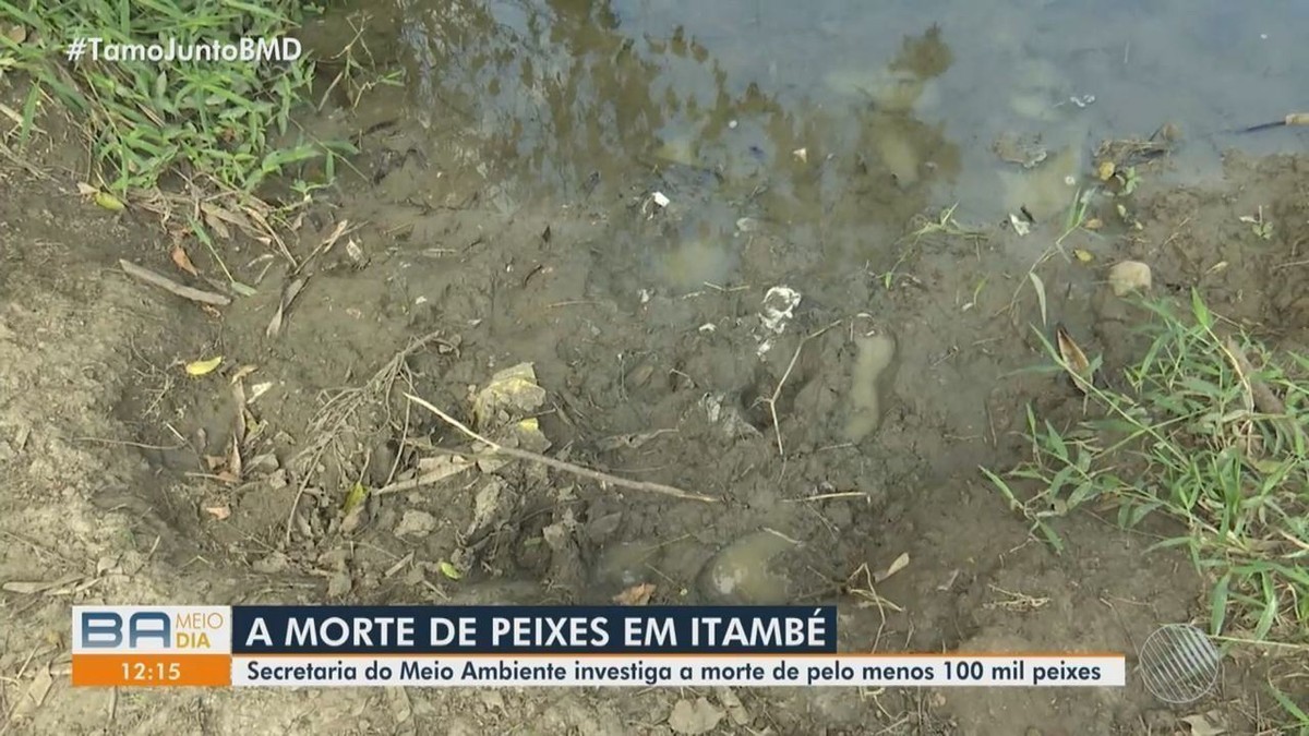 Pescaria é proibida em rio no sudoeste da Bahia após surgimento de lama