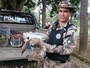 Polícia Ambiental resgata bicho-preguiça em frente ao zoo de Brasília