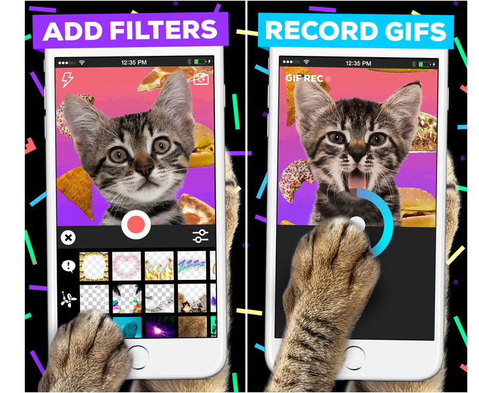 Aplicativo Giphy Cam permite ao usuário criar gifs no iOS (Foto: Divulgação)