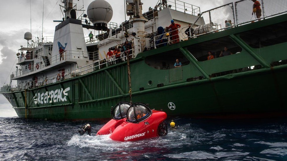 Recife encontrado no ano passado na costa da região amazônica foi fotogrado pela primeira vez com um minisubmarino (Foto: Marizilda Cruppe/Greenpeace )