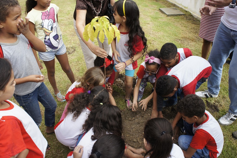 Crianças das escolas municipais estão plantando e apadrinhando as mudas em João Pessoa (Foto: Daniel Sousa/TV Cabo Branco)