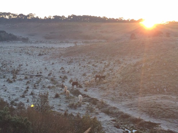 Geada na Serra de SC 13 de setembro (Foto: Larissa Vier/RBS TV)